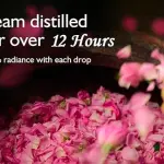 Rose Water Liquid