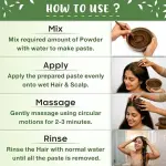 Hair Wash Powder