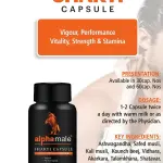 Sakti Capsule