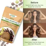 Hair Wash Powder