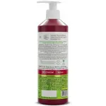 Onion Conditioner