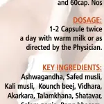 Sakti Capsule
