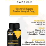 Testro Boost Powder